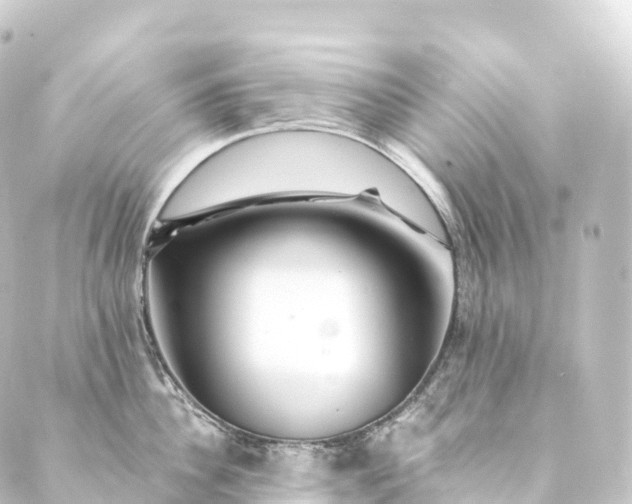 X0000088890956200706221836