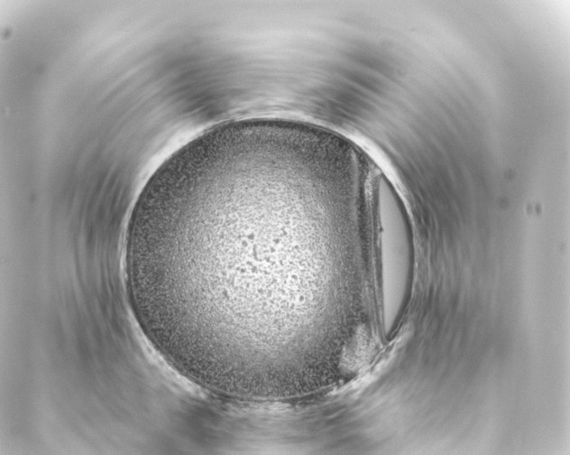 X0000088890957200706221836