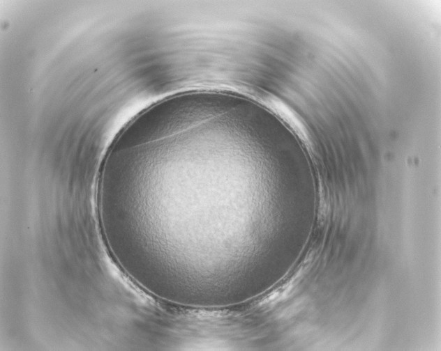 X0000088890958200706221837