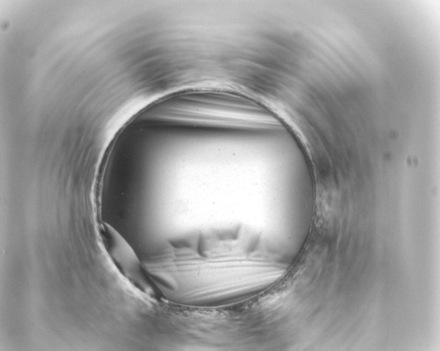 X0000088890959200706221837