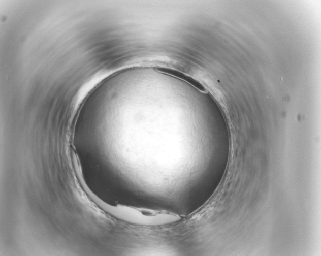 X0000088890960200706221837