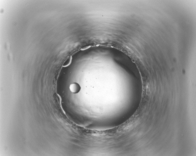 X0000088890961200706221836