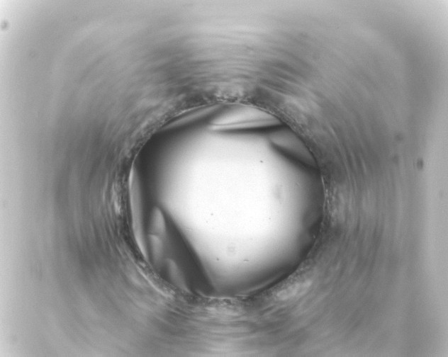 X0000088890962200706221836