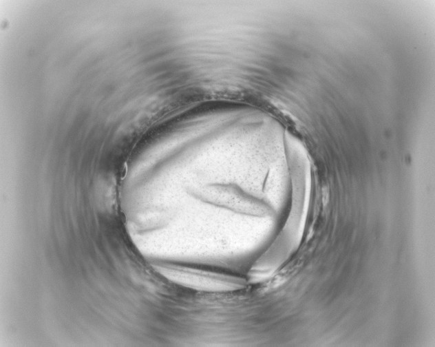 X0000088890963200706221836