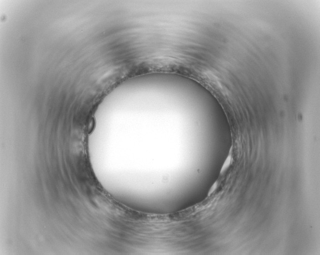 X0000088890964200706221836