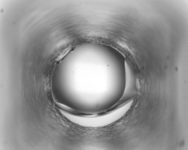 X0000088890965200706221836