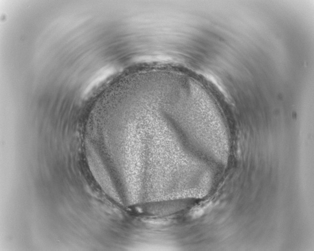 X0000088890967200706221836