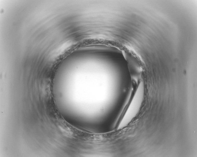 X0000088890968200706221836