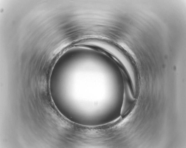 X0000088890969200706221836