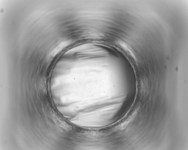 X0000088890970200706221836