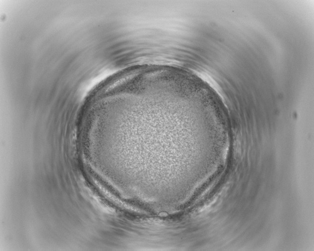 X0000088890971200706221836