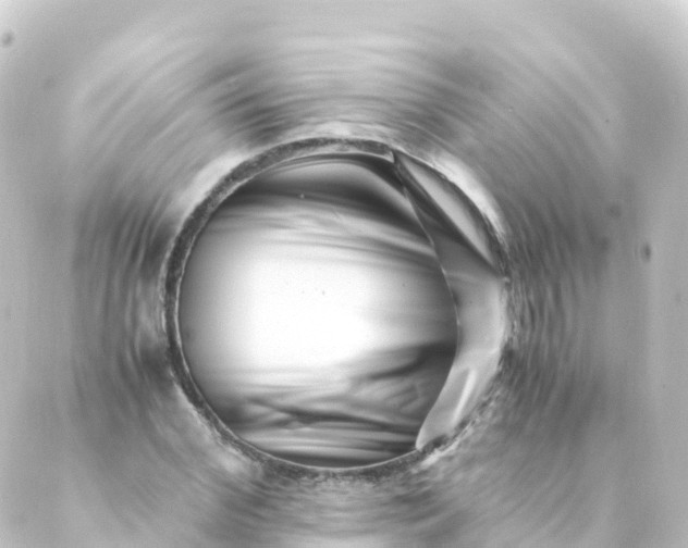 X0000088890972200706221836