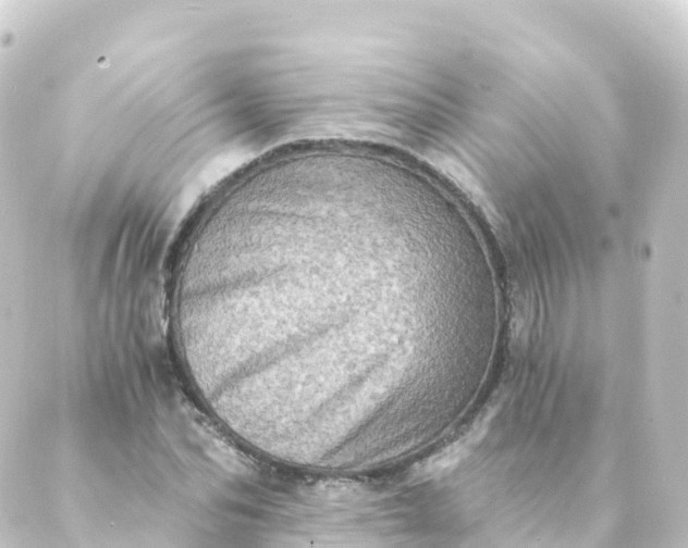 X0000088890974200706221836