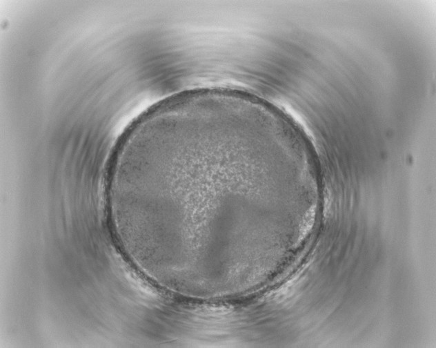 X0000088890975200706221836