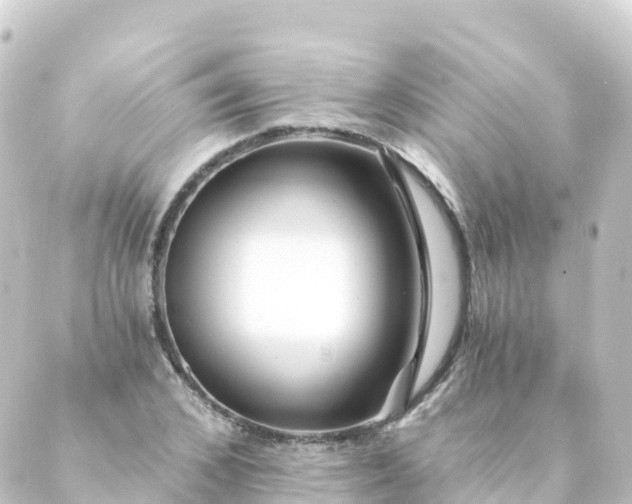 X0000088890976200706221836