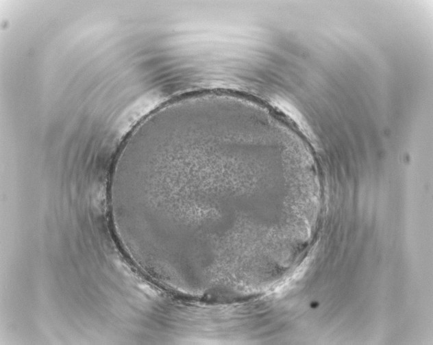 X0000088890977200706221836