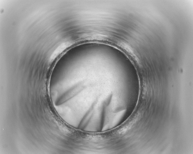 X0000088890978200706221835