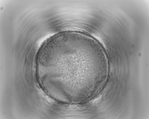 X0000088890979200706221835