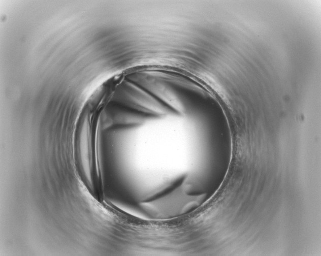 X0000088890980200706221835