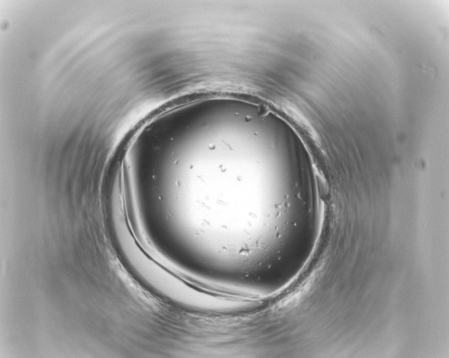 X0000088890981200706221835