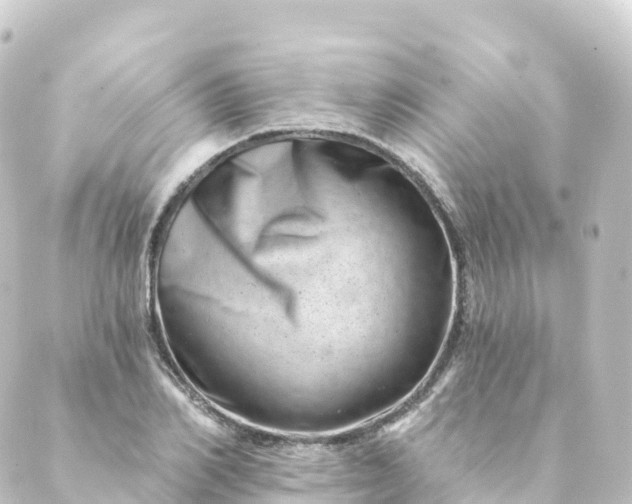 X0000088890982200706221835