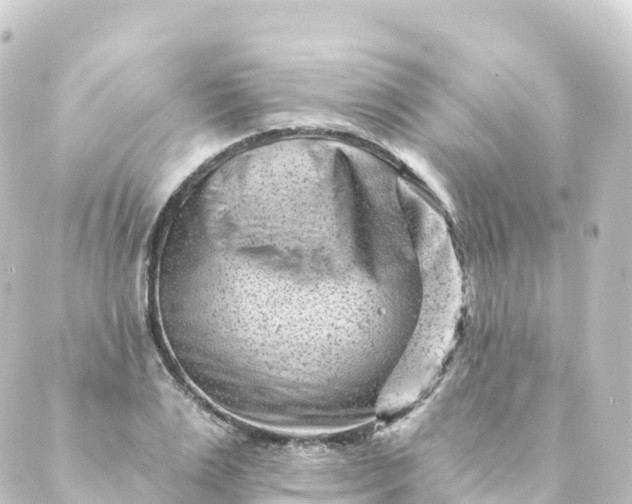 X0000088890983200706221835