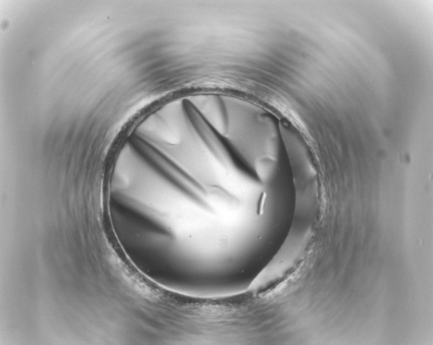 X0000088890984200706221835