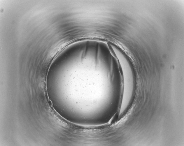 X0000088890985200706221835