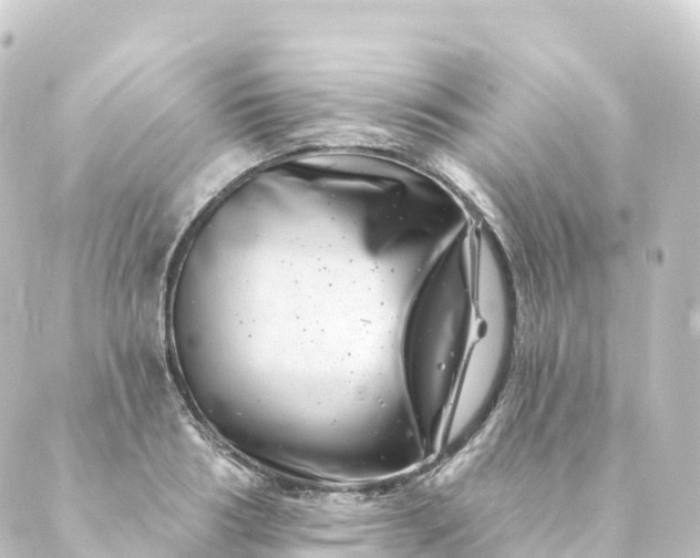 X0000088890986200706221835