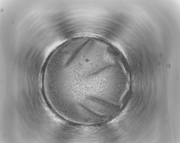 X0000088890987200706221835