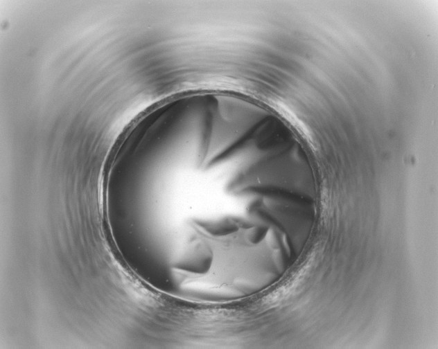 X0000088890988200706221835