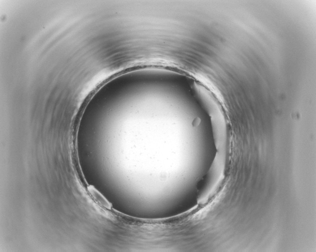 X0000088890989200706221835