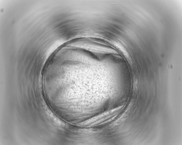 X0000088890990200706221835