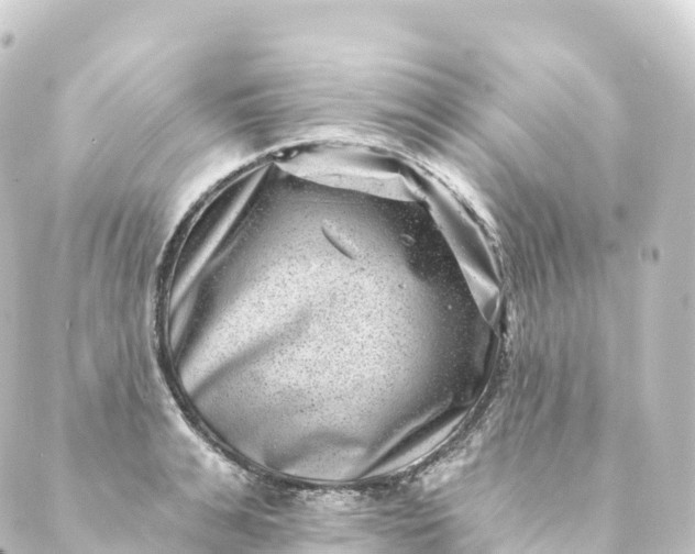 X0000088890991200706221835