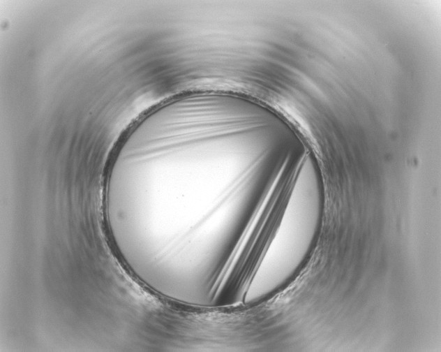 X0000088890992200706221835