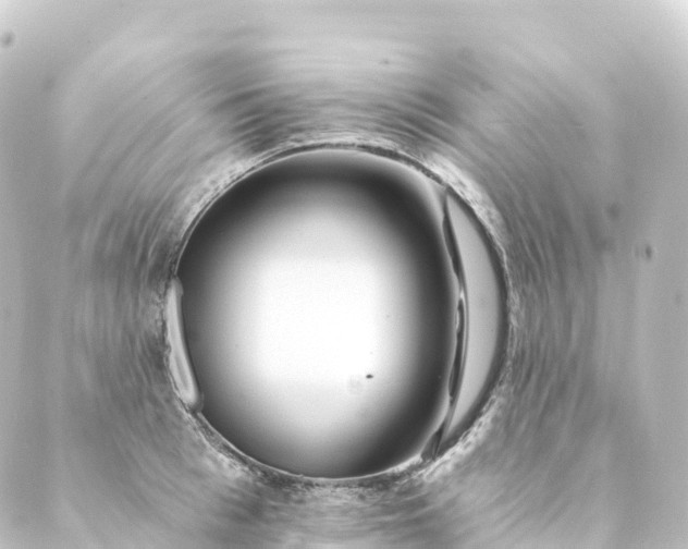 X0000088890993200706221835