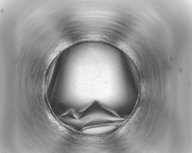 X0000088890994200706221835