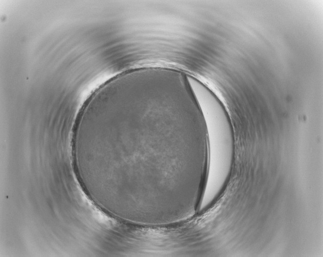 X0000088890995200706221835