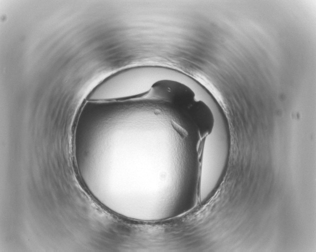 X0000088890996200706221835