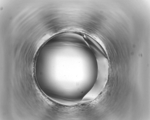 X0000088890997200706221835