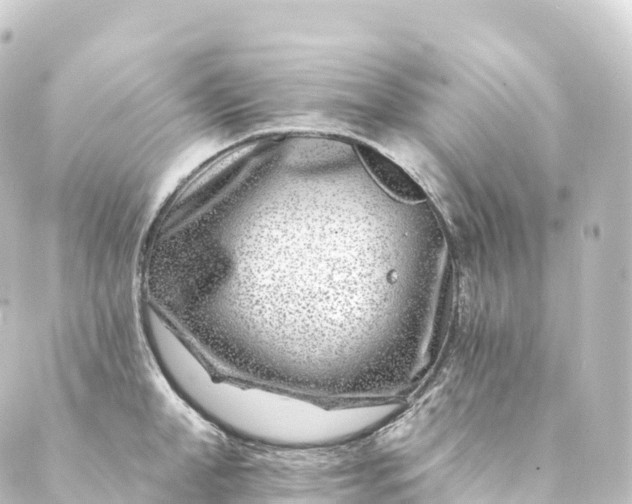 X0000088890998200706221835