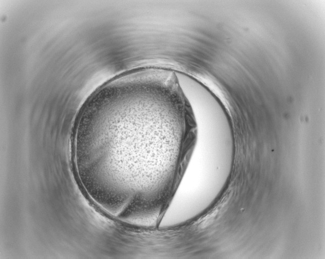 X0000088890999200706221835