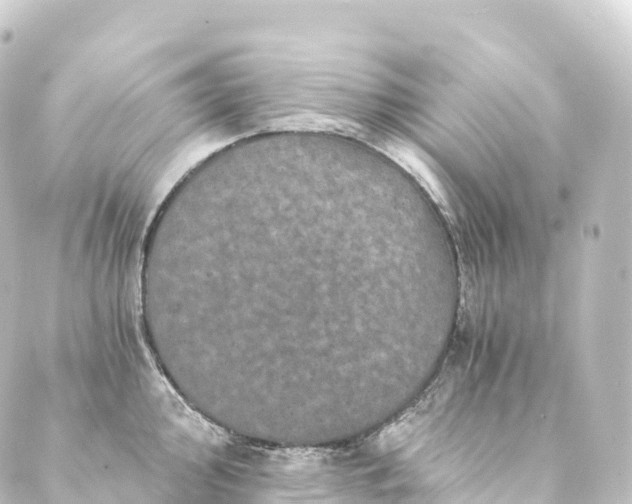 X0000088891000200706221835