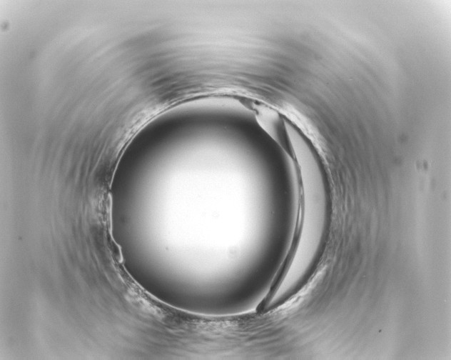 X0000088891001200706221835