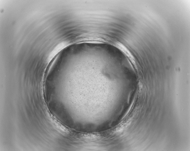 X0000088891002200706221835