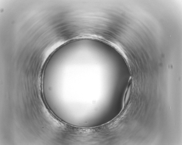 X0000088891003200706221835