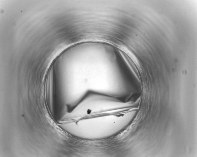 X0000088891004200706221835