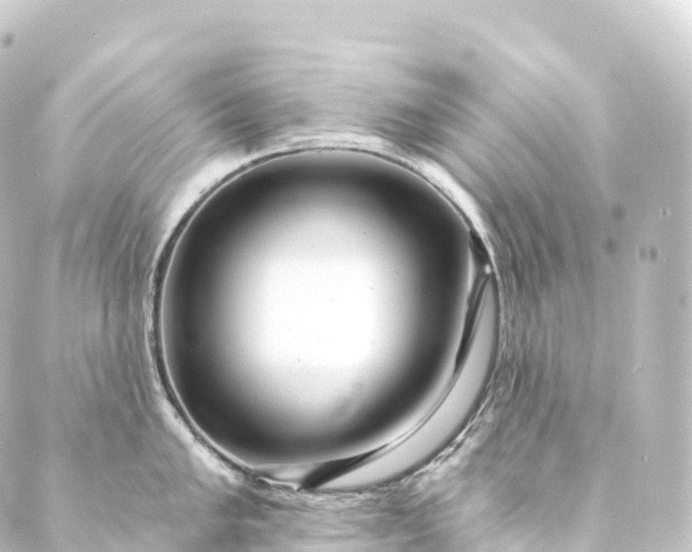 X0000088891005200706221835