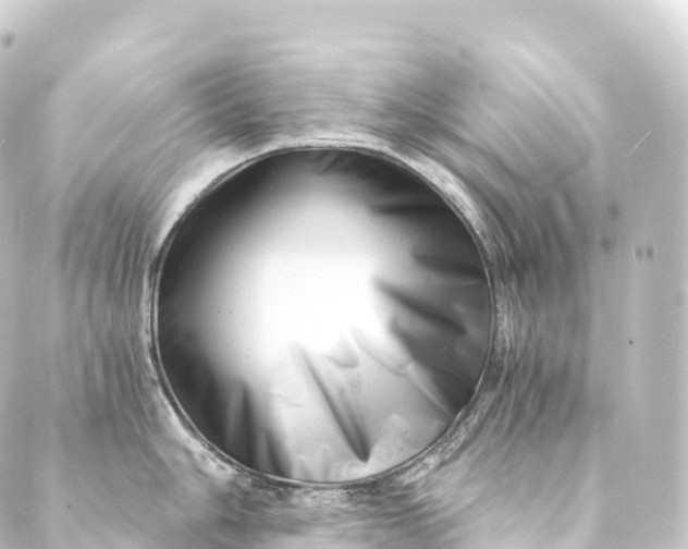 X0000088891006200706221835