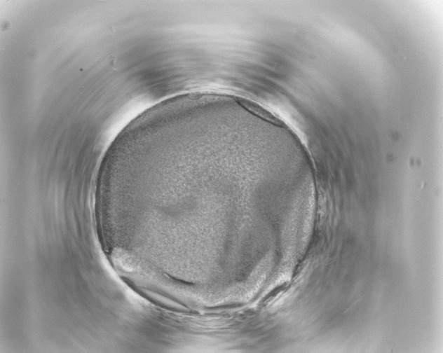 X0000088891007200706221835